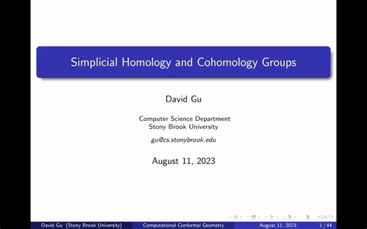 Simplicial Homology and Cohomology Groups