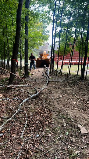Adrenaline Cutters Tree Services LLC on Reels