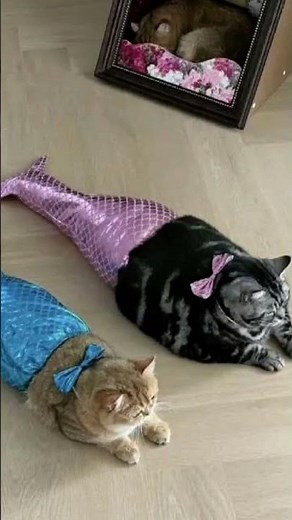 Two mermaids giving birth.