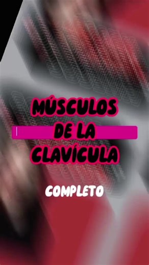 Músculos que se insertan en la clavícula: Anatomía detallada