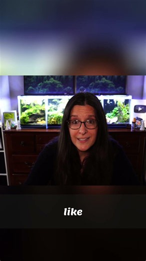 Fake Aquarium Plants: A Beginner's Realistic Option
