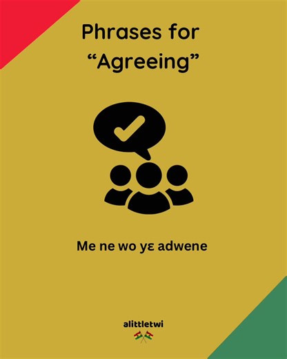 Here are 5 Twi phrases you can use in “agreement” with someone or something Learn Twi by repeating #twi #learntwi #akan #alittletwi #twiforbeginners