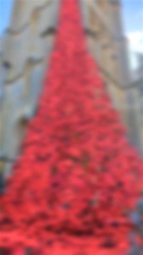 Beautiful remembrance poppy cascade at St Michael's Church in Broadway, Worcestershire. Thank you everybody involved in creating this poignant display. #remembranceday #poppies https://www.stmichaelsbroadway.org/ | Nigel Huddleston MP