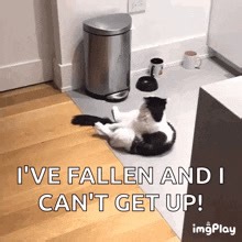 Name one commercial you remember from the 80s. #wendys #clapper #80sgal #memories #commercials | 80s Gal