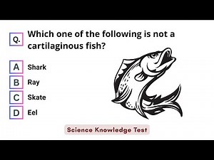 Science Knowledge Test: 20 Questions for Grade 9 Students | General Science Quiz for Students