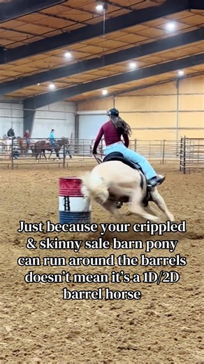 Understanding Barrel Racing Classifications