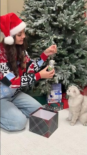 मानवी Christmas 🎄 पर लाई बिल्लीवाले खिलौने 😺😂