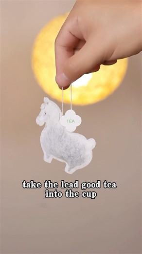 Would you buy such a tea bag?