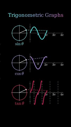Graph Of tanx, sinx and cosx || Class 11 Math || Trigonometric Graph #shorts #trending