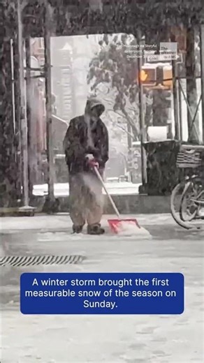 Big Apple Sees First Snowfall