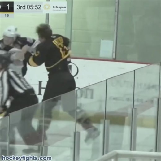17K views · 96 reactions | #HFrandomizer • 2021 MAR 25 Mason Geertsen • Hartford Wolf Pack  Jakub Lauko • Providence Bruins see this and all the #AHL offerings on hockeyfights.com/fights/n261860 | hockeyfights.com | Facebook
