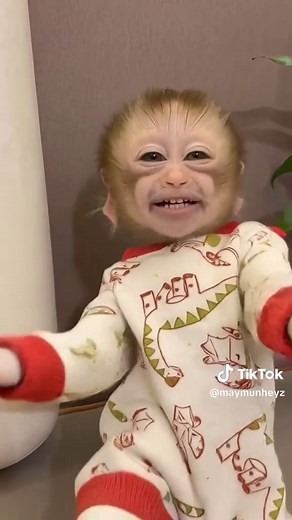 Bebek Videoları ve Eğlenceli Çocuk İçerikleri