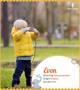 Evon Name, Origin, Meaning, History, And Popularity