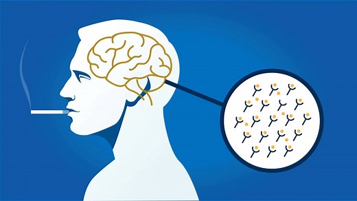 尼古丁成瘾的历史、现在、未来！【TED演讲】