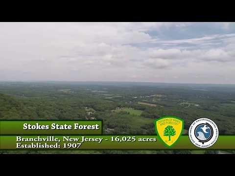Stokes State Forest - Drone