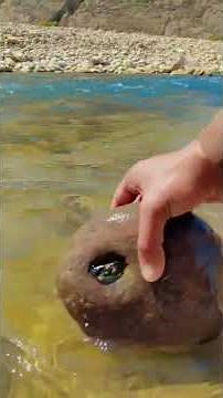 Exploring Oklahoma: Geodes and Rockhounding Adventures"