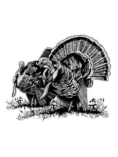 Turkey hunting action happens at eye level, which is why I've always liked painting them. Here's a bit of back story on my early projects with @winchesterammunition and what it's led to today. Watch the full short film at YouTube.com/RyanKirbyArt #WildyOriginal #turkeyhunting #turkeyseason #winchester #mossyoak @mossyoak