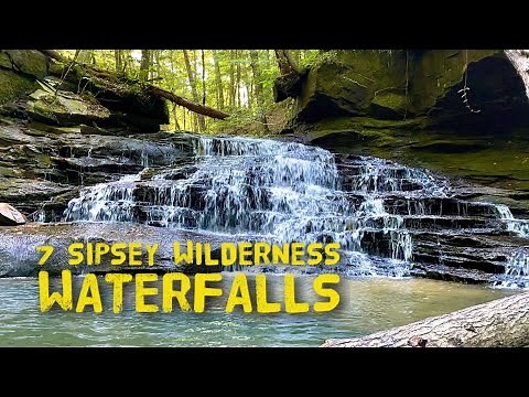 7 WATERFALLS IN THE SIPSEY WILDERNESS #sipsey