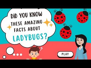 What Are Ladybugs? 🐞 Fun Facts & Easy Explanation for Kids! | Anca Explains