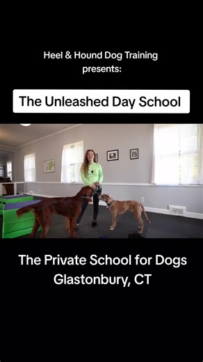 Now enrolling! #dogtraining #heelandhound #glastonbury #dogtrainer