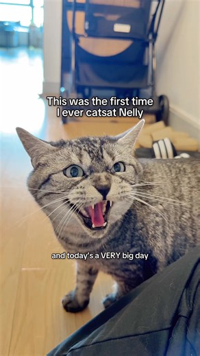 Nelly's Big Feelings in Visit 13 with Auntie Julie