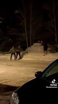 Two Drunk Guys Can't Help But To Antagonize A Moose After Being Warned Not To; It Chases Them...