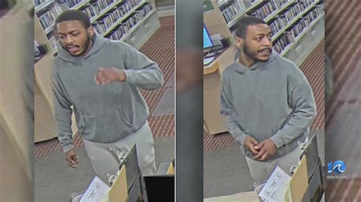 Man accused of creating 30 fake library accounts to steal Nintendo Switch