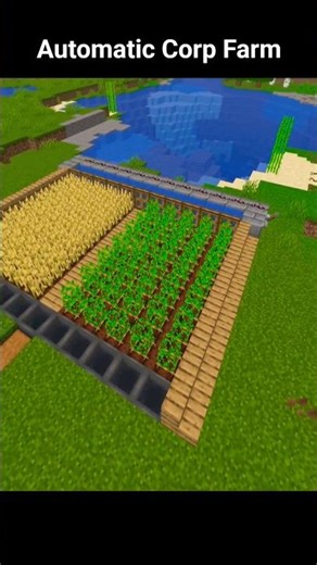 Automatic Farm Wheat 🌾⚙️ | Minecraft #mctutorial #shortsminecraft #minecraftbuilding
