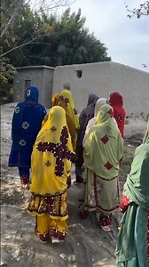 Baloch Girls dance / Balochi Wedding cultural / Balochi Julbandi / Banor e pardach / Salonk e sore