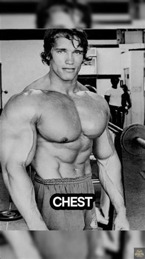This Is How Arnold Built His Massive Chest