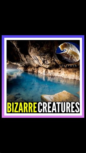 Forbidden truth | 🔴 Movile Cave in Romania is a hidden, isolated ecosystem sealed off from the outside world for 5.5 million years, where bizarre creatures... | Instagram
