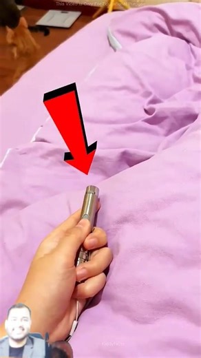 smart cat turn off the light by laser #facts #viral #sadanimalfacts #sadpictures #shorts #reels