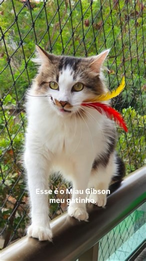 Cecilia Dassi on Instagram: "Meu presente de aniversário mais especial de todos 🥹🩵 muito muito muito obrigada a cada pessoa que se inscreveu na jornada e me ajudou a proporcionar o melhor cuidado possível pro meu amorzinho 🥹🩵 O pior cenário possível é possível, sim. Mas o melhor também é ❤️ Pensamentos são apenas pensamentos, não são A realidade. Lembrar disso é uma ferramenta importante pra regulação emocional ❤️‍🩹"