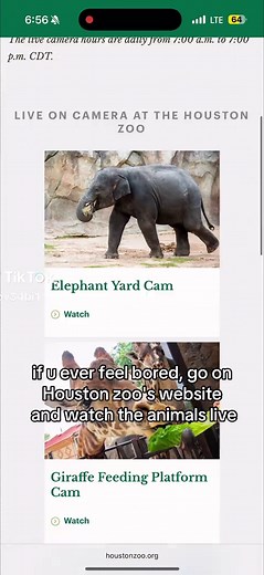Enjoy Live Animal Feeds at Houston Zoo
