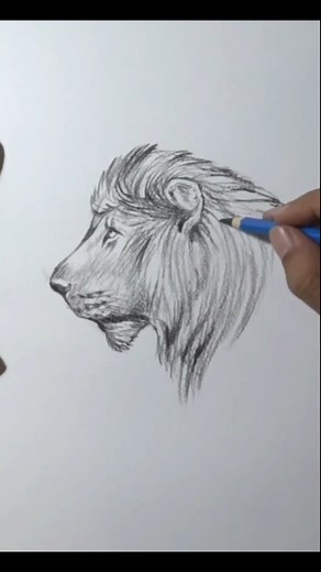36K views · 224 reactions | Draw a lion's head side view | DRAWING PENCIL | Facebook