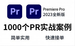 【PR教程】1000集PR案例教程，下一个PR剪辑大神就是你！持续更新系列
