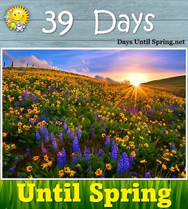 19K views · 883 reactions | The Countdown to Spring    https://daysuntilspring.net   . #Spring #Spring2025 #SpringCountdown #countdown #sunandfun #CountdowntoSpring | Spring Countdown | Facebook