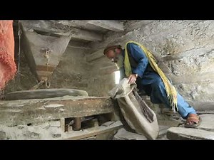 How Does a Water Mill Work? From Grain to Flour!
