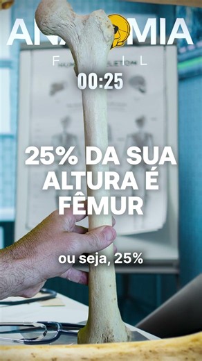 🦴 Você sabe qual o maior e o menor osso do corpo humano?
