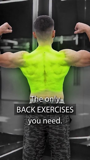 Ibo | Online Transformation Coach on Instagram: "The only back exercises you need in order to give better toning and shape. Just keeping your mind that you have to train your back muscle muscles twice a week, for better results. Progressive overload and training to failure is the key. Make sure you follow for more tips so we can get far better results rather than being stuck in your progress! #explorepage #explore #workout #gymtips #workouttips #gymworkout"