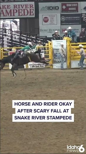 Horse wreck at rodeo