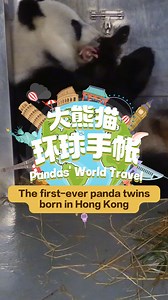 284 reactions · 11 shares | Congratulations on welcoming the newborn panda twins. Check out the latest video of the first Hong Kong-born giant panda twins, and you will get a "cuteness attack". #CCRCGP #FriendshipMessenger #PandasWorldTravel For more panda information, please check out: https://en.ipanda.com | iPanda | Facebook