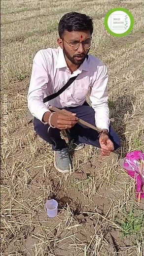 How to collect soil samples | Avoid mistakes to take soil samples |