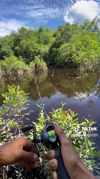 Casting Techniques for Iroly Fishing Enthusiasts