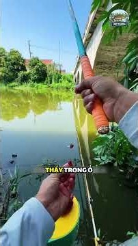 Điểm câu này đẹp tựa thần tiên #fishing #cauca #caucathugian