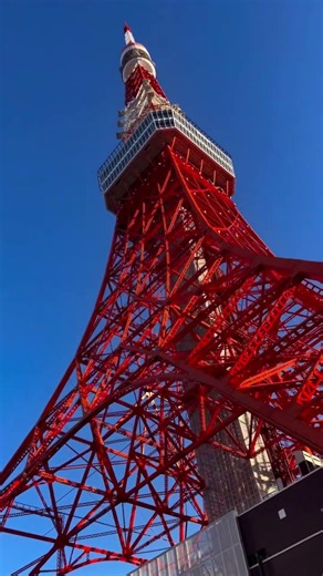 Tokyo Japan Spring Bus Tour 🌸 Tokyo Tower and Cherry Blossoms from SKY Bus Tokyo #japantravel