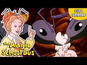 An Adventure with Ants | Gets Ants in its Pants | Full Episode | The Magic School Bus