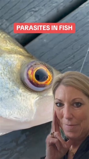 Poor fish 😢 eye worm #parasite #fish #health #eye #worm Original video @mrlunkerchaser TikTok | Dr. Kimber Krosschell