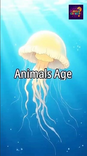 Ever Wondered "Do all animals really age?"