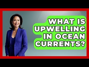 What Is Upwelling In Ocean Currents? - The Everyday Why